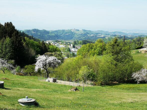 Ausblick auf Rechberg kurz vor Ende der Tour