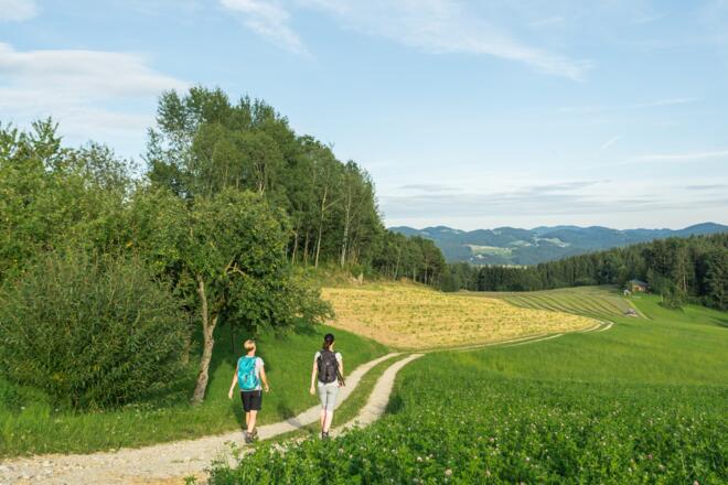 Wandern am Alm-Granitweg