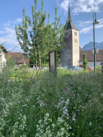 Schautafel Lebensraum Streuobstwiese