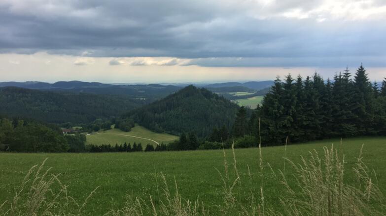 Weitblick auf der Mountainbike Strecke 2 in St. Oswald bei Freistadt