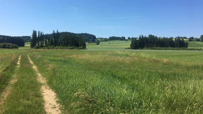 Mountainbikerunde Leopoldschlag