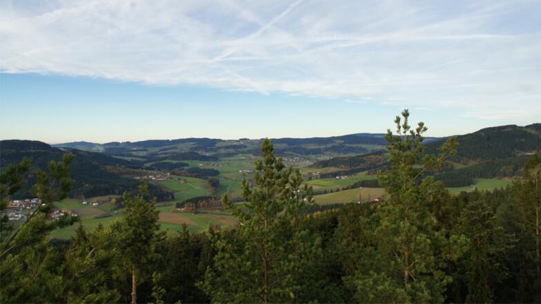 Wanderung Buchberg - Braunberg