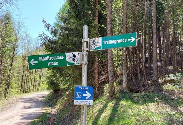 Trailingrunde