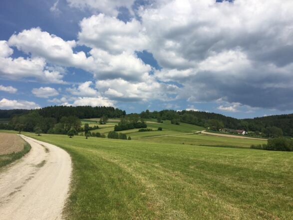 Feldwege entlang der MTB-Strecke in Lasberg