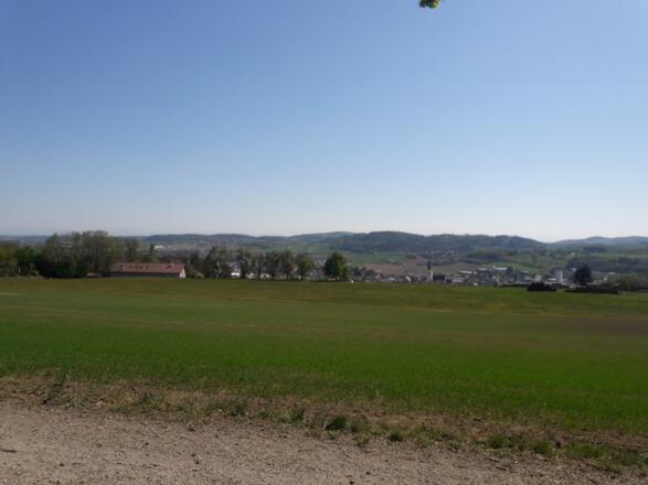 Gallinger Höhenweg_TVB MV Alm Freistadt