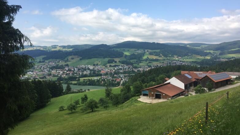 Blick auf St. Oswald bei Freistadt entlang der Mountainbike Runde 2
