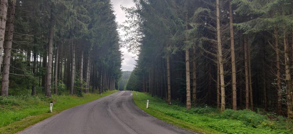 14. Typischer Straßenverlauf Richtung Tanner Moor