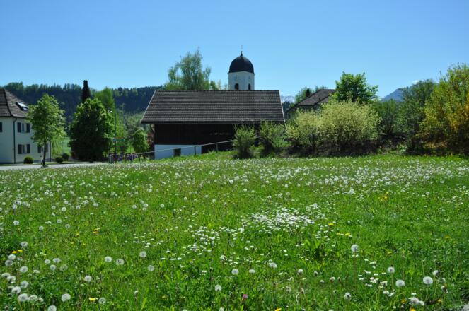 Wiese Volksschule Kirchdorf