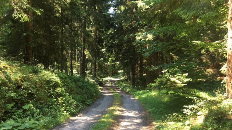 MTB-Runde Leopoldschlag
