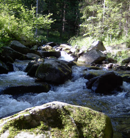 Wandern am Aisttalweg