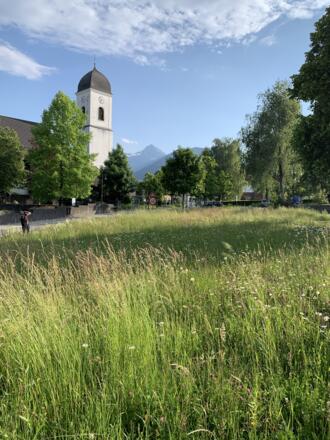 Vereinshauswiese Ansicht