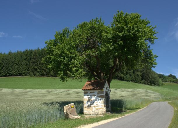 Hofreiter Weiler Weg