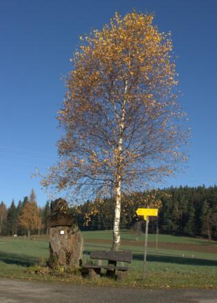 Hirtstein-Weg