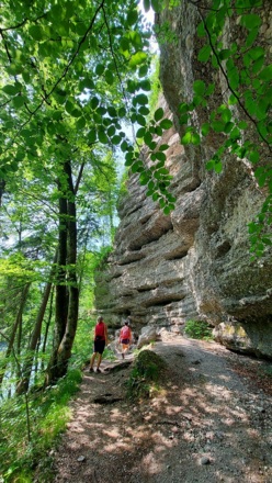 Steyrschlucht - Konglomeratwände