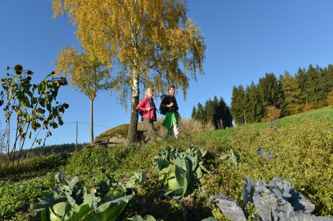 Wandern am Hoader-Steig