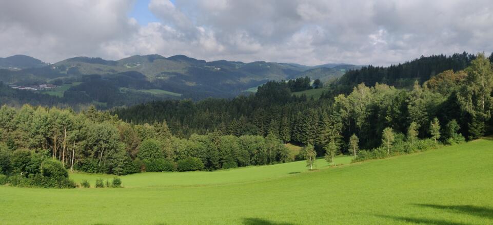 8. Ausblick ins Mühlviertel (kurz nach Pieberbach)