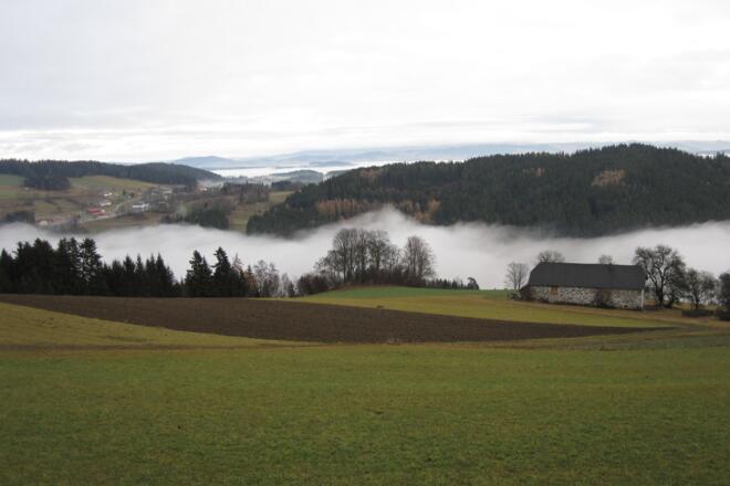 Hofreiter Weiler Weg