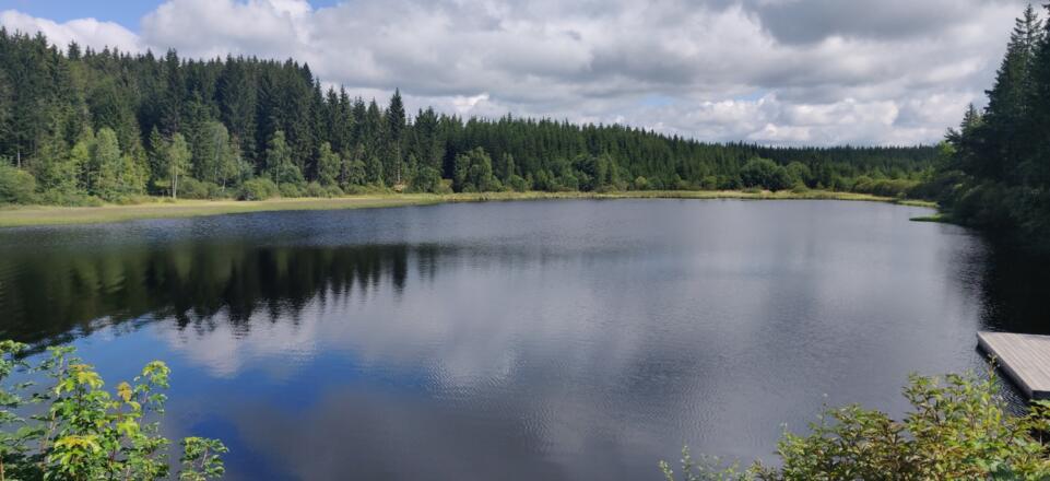 17. Tanner Moor Rubner Teich_1