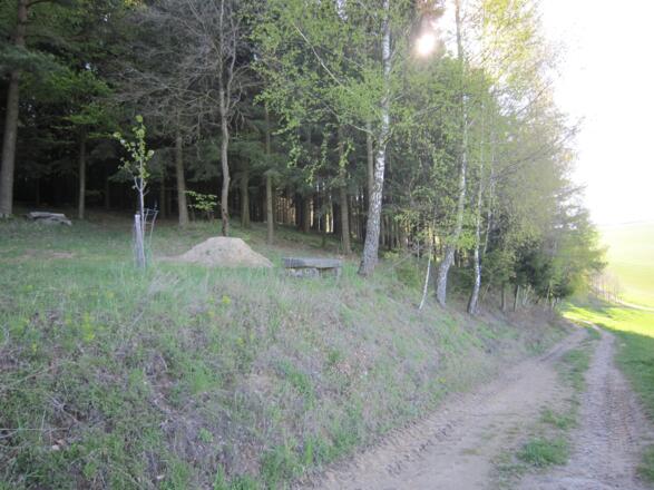 grünbergweg