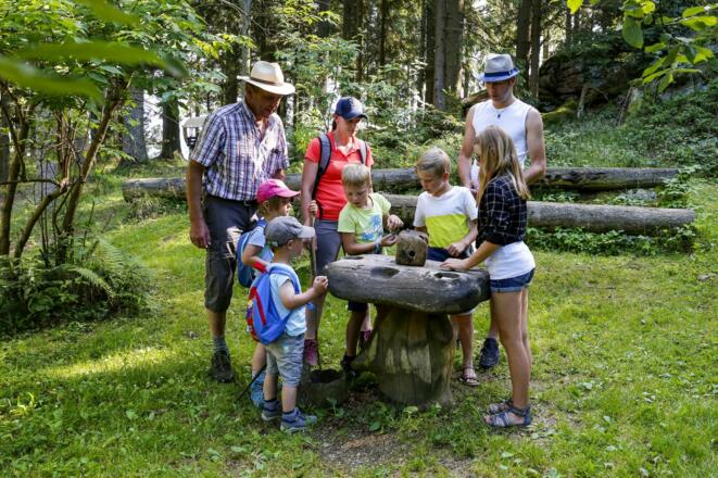 Station am Kranzberg entlang des Natur-Geheimnis-Pfades
