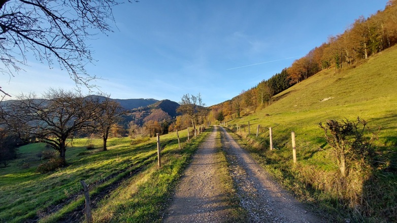 Arthofberg im Herbst