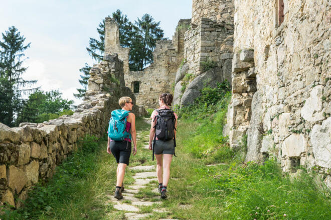 Wanderweg zur Burgruine Prandegg