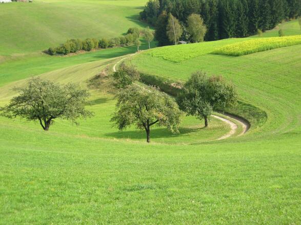 Wandern am Wollnessweg