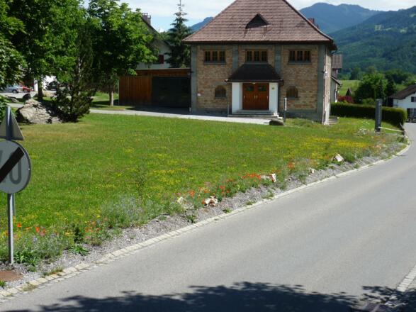 Ansicht Blührand Vereinshauswiese