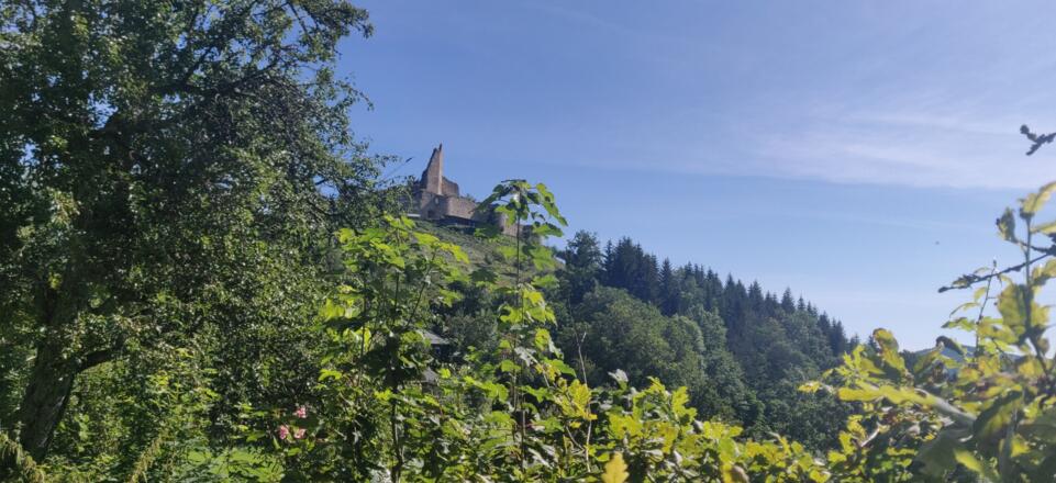 11. Ruttenstein_2