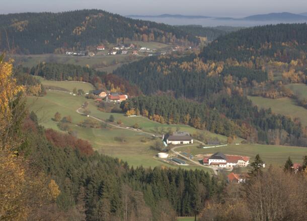 Hofreiter Weiler Weg
