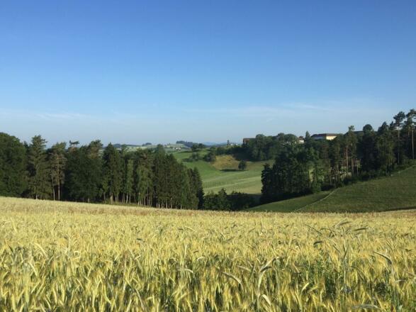Waltersberg