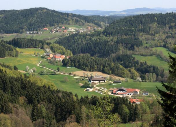 Hofreiter Weiler Weg