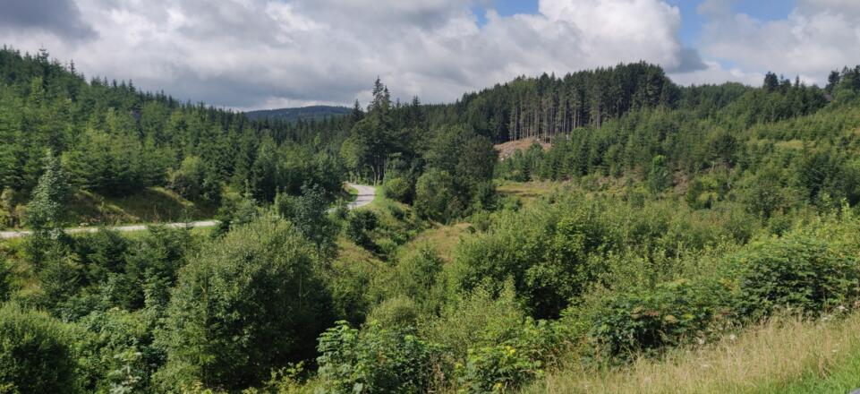 55. Tanner Moor Rubner Teich
