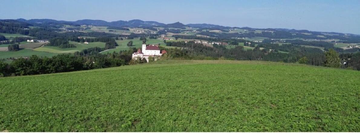 Kefermarkt_Weinberg Blick