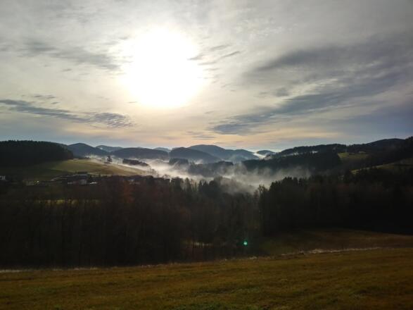 20191127_092651_HDR