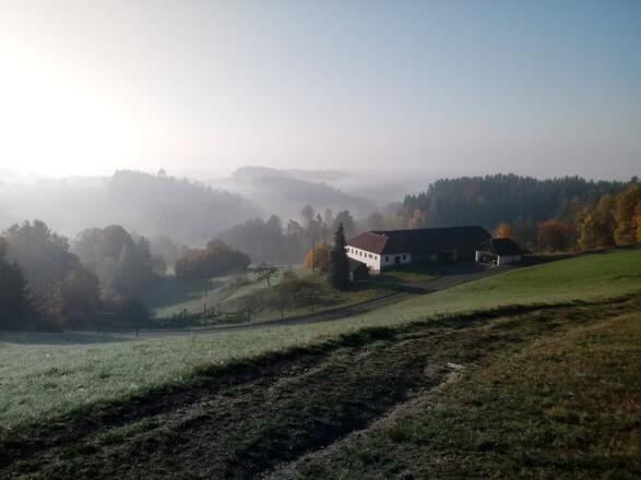 20171019_091140