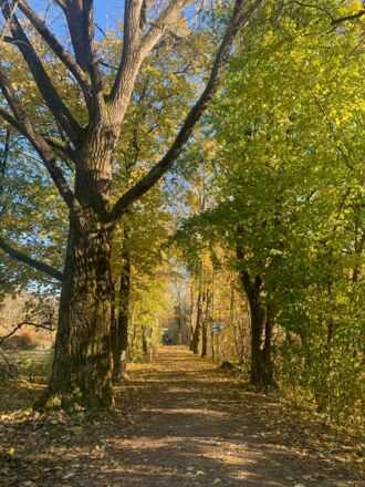 Park am Ökologisches Bildungszentrum