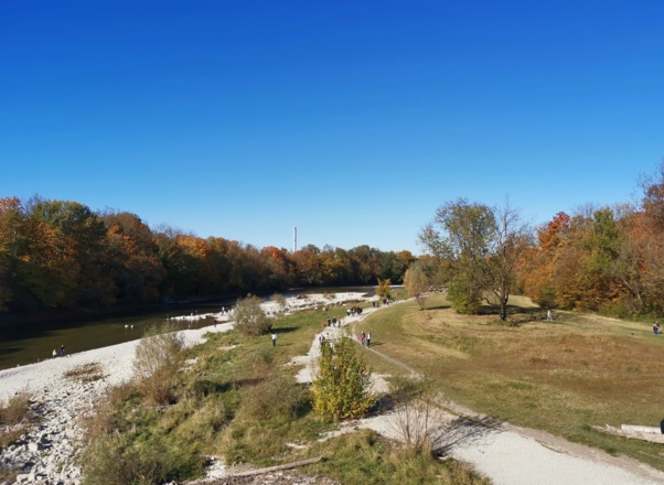 Natur am Flauchersteg