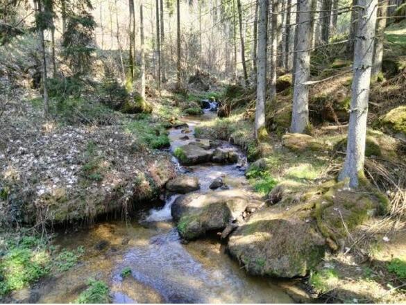 Kefermarkt_Flanitz Verlauf oberhalb der Brücke