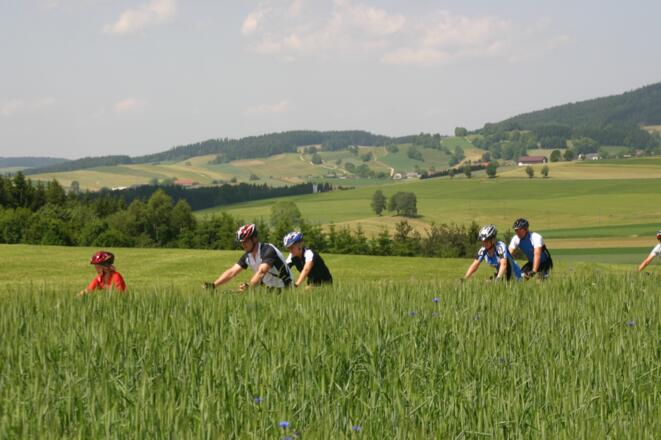 Radeln in Grünbach