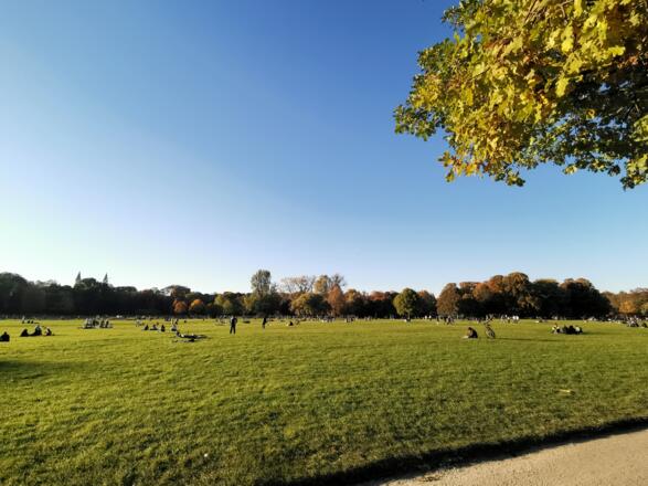 Ausblick Englischer Garten