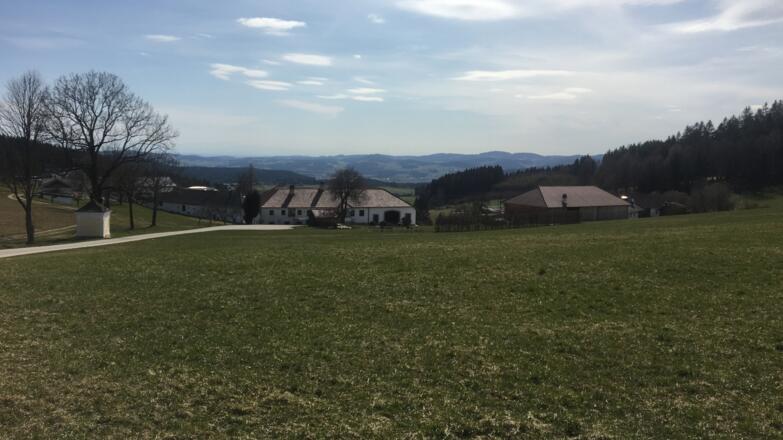 MTB-Runde Grünbach