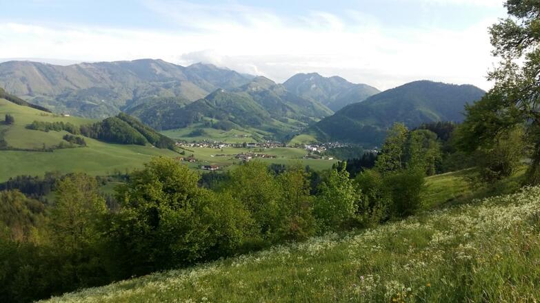 Planetenweg - Blick auf Großraming