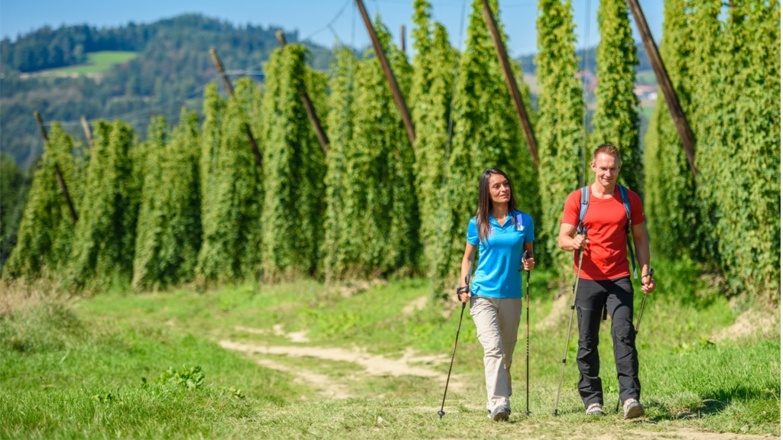 150er Wanderweg