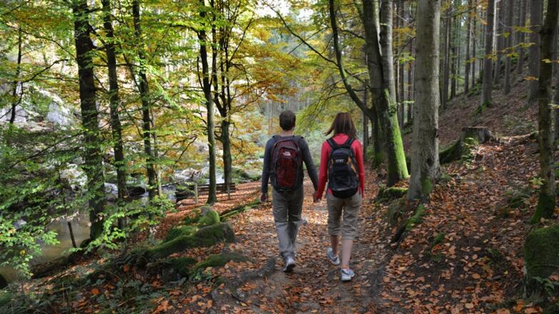 Freiwaldrundweg 2