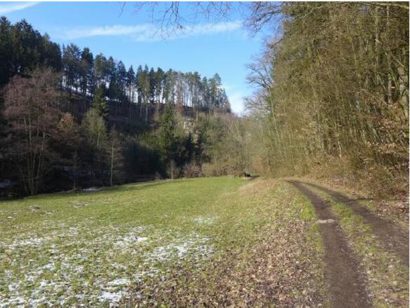 Pregarten_Fuchsschweif