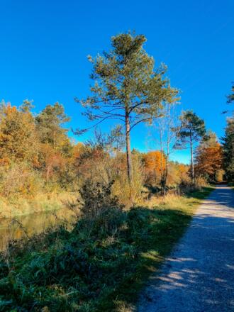 Loisach-Isar Kanal bei Waldram