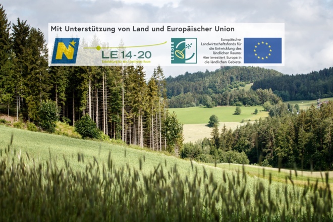 Weinsbergerwald Radweg