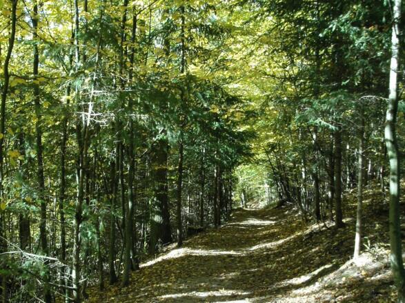 Kempfenberg Rundweg