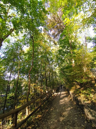 Kleiner Waldweg entlang der Isar
